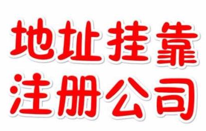 代理記賬一年800元，記賬會計(jì)代理